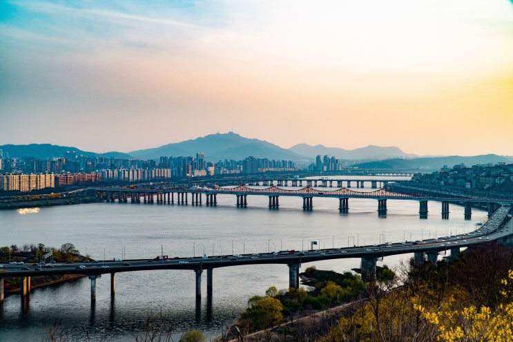 부동산 시장 전망과 근거