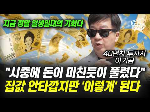 시중에 돈이 미친듯이 풀렸다, 집값 안타깝지만 '이렇게' 된다 (부동산 전문가 아기곰)