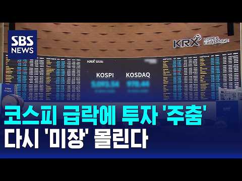 코스피 급락에 투자 '주춤'..다시 '미장' 몰린다 / SBS 모닝와이드 2부