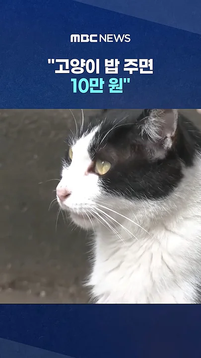 "고양이 밥 주면 10만 원"에 고소까지‥끝장 갈등 #Shorts (MBC뉴스)