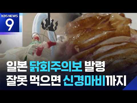 심하면 반신불수·식중독은 다반사…일본, ‘닭회’ 주의보 [9시 뉴스] / KBS  2026