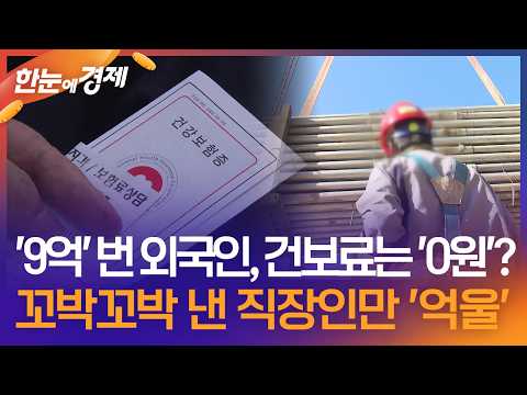 [한눈에 경제] 9억 벌고 건보료 0원 낸 외국인…꼬박꼬박 낸 직장인만 '억울' / KBS